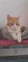 Rusty (5)